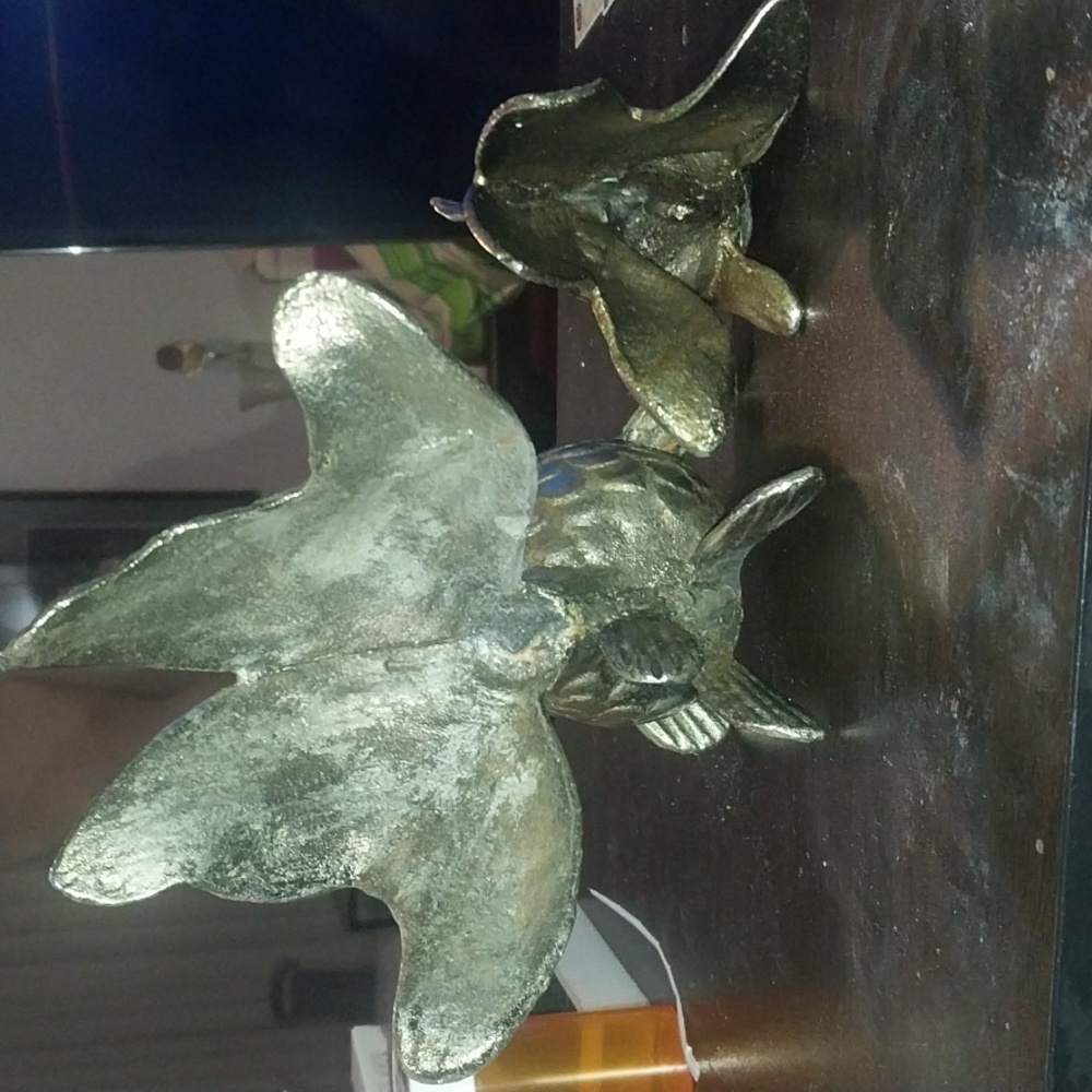 Small and large koi fish - Picture 7 of 8